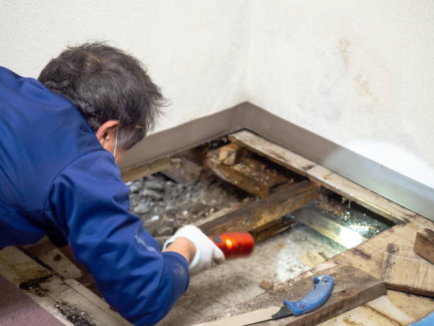 Tequesta, FL Mold Remediation Company