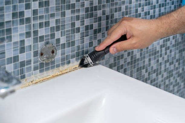 Best Industrial Mold Remediation in Tequesta, FL